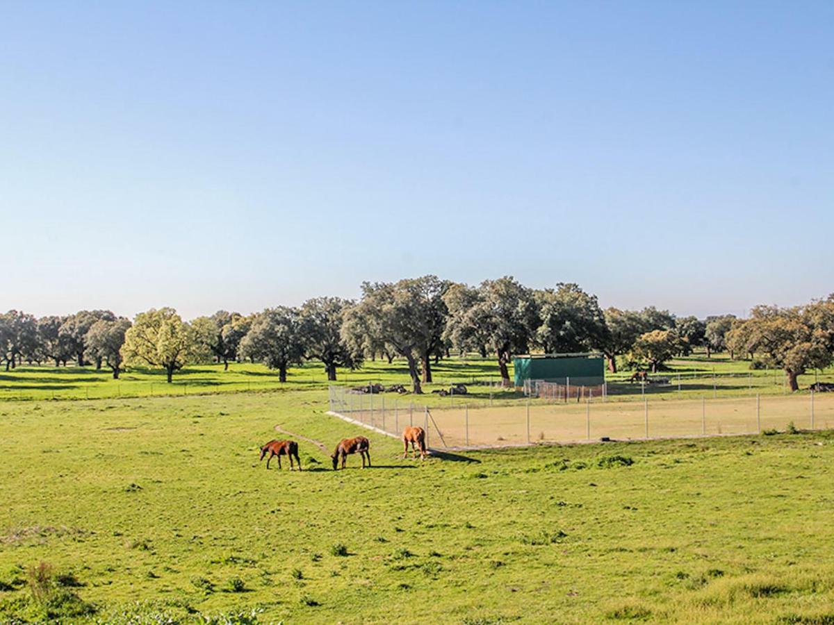 El Toril Glamping Experience Villa Parrillas Exterior photo