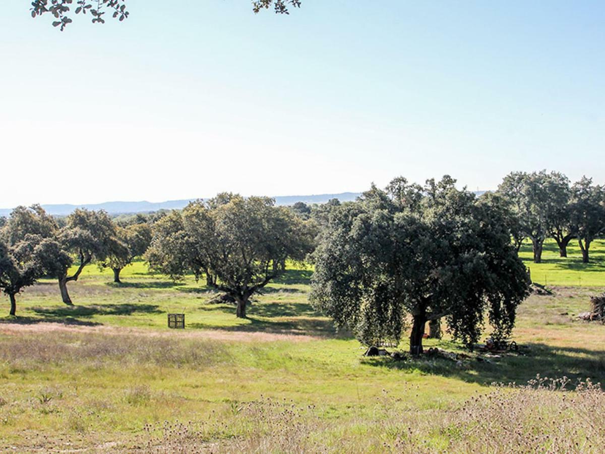 El Toril Glamping Experience Villa Parrillas Exterior photo